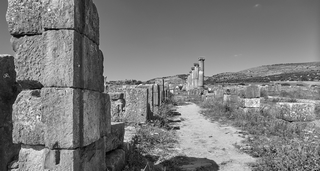 Volubilis   |   3  /  4    |